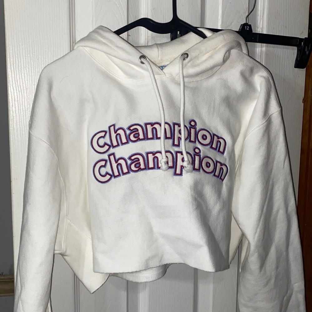 Cropped champion sweater